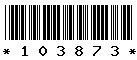 103873