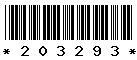 203293