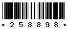 258898