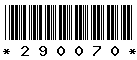 290070