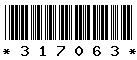 317063