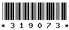 319073