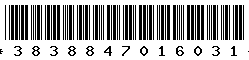 3838847016031