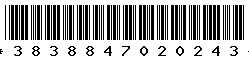 3838847020243