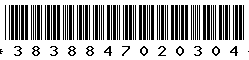 3838847020304