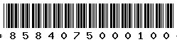 8584075000100