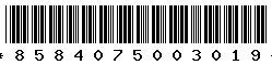 8584075003019