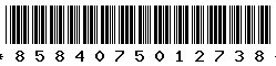 8584075012738