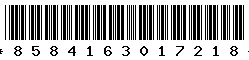 8584163017218