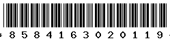 8584163020119