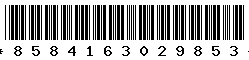 8584163029853