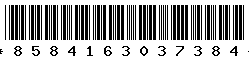 8584163037384