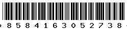 8584163052738