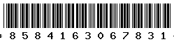 8584163067831