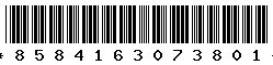 8584163073801