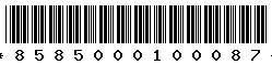 8585000100087