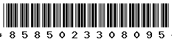 8585023308095