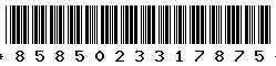 8585023317875