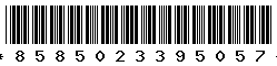 8585023395057