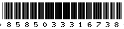 8585033316738