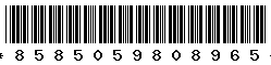 8585059808965