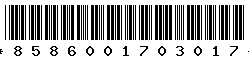 8586001703017