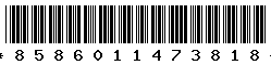 8586011473818