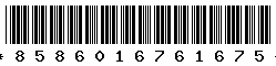 8586016761675