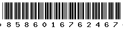 8586016762467