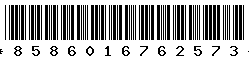 8586016762573