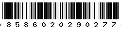 8586020290277