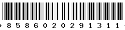 8586020291311