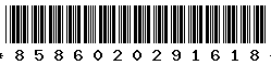 8586020291618