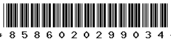 8586020299034