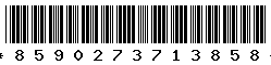 8590273713858