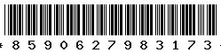 8590627983173