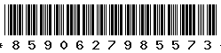 8590627985573