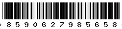 8590627985658