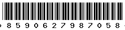 8590627987058