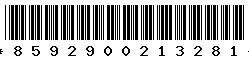 8592900213281