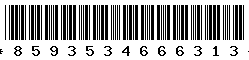 8593534666313