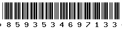 8593534697133