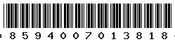 8594007013818