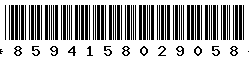 8594158029058