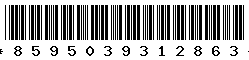 8595039312863