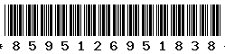 8595126951838