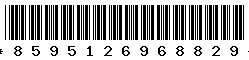 8595126968829