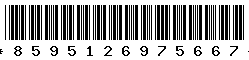 8595126975667