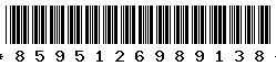 8595126989138