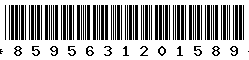 8595631201589